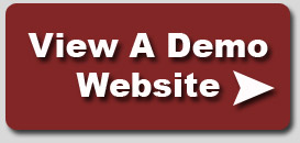 demo website